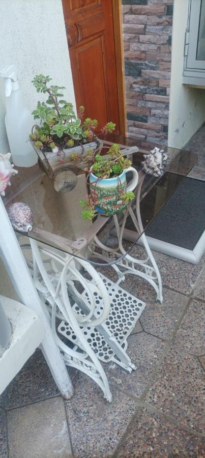 La Ruta Del Jazz Bed & Breakfast Santa Cruz Dış mekan fotoğraf